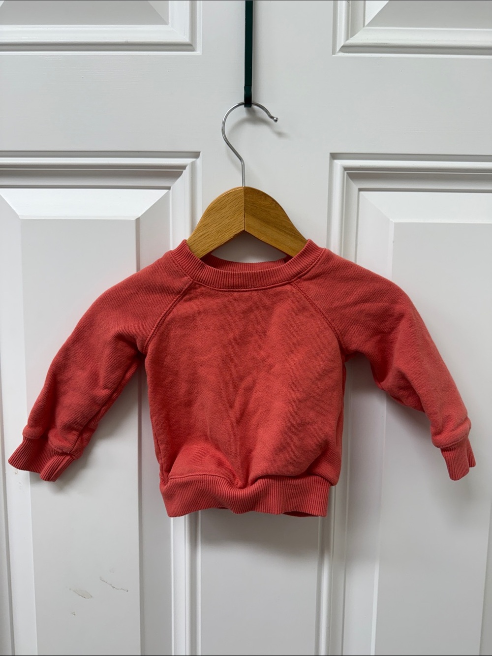 Kids Coral Crewneck Sweatshirt - All The Babies